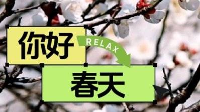 “接下来的机电是这样的”