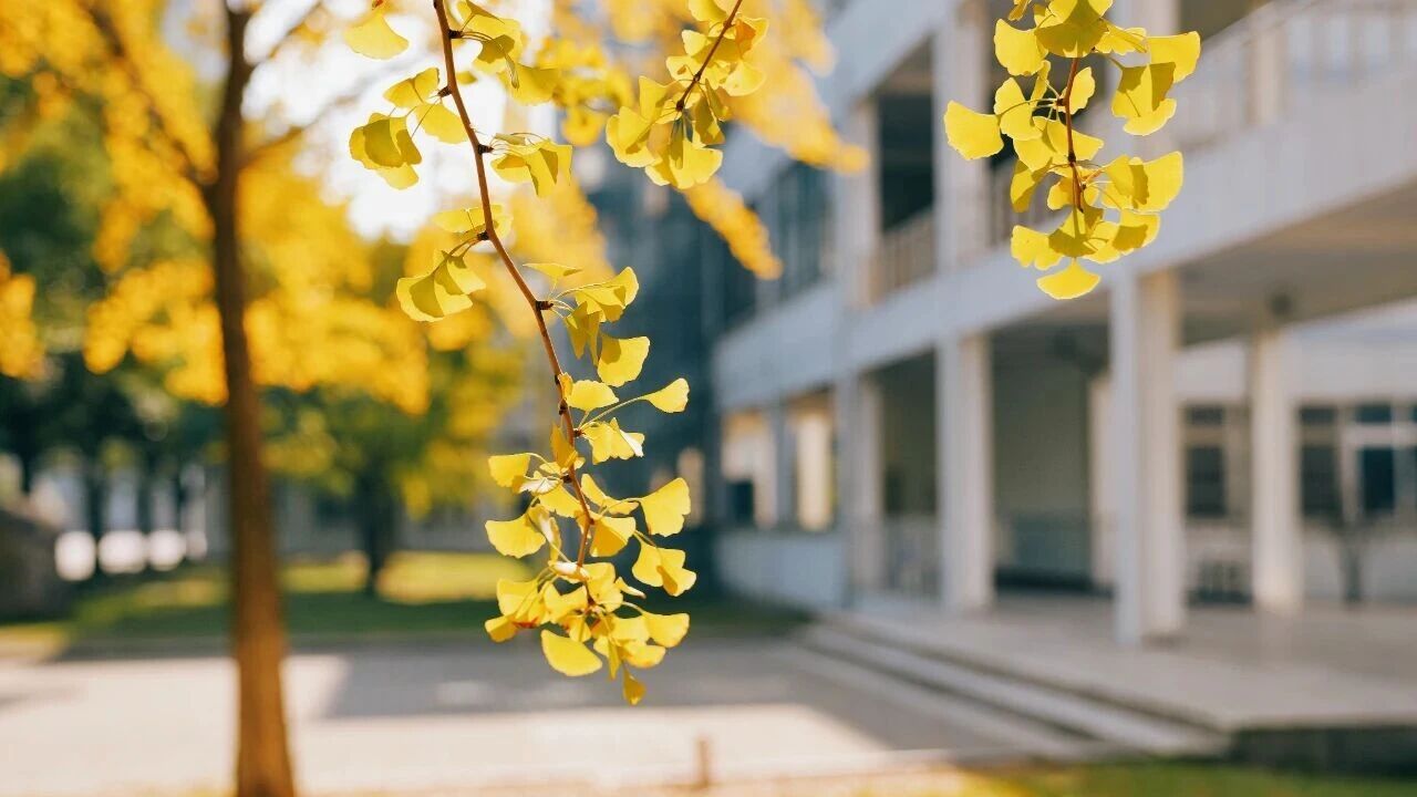 印象志 ｜添件衣裳，也看看花
