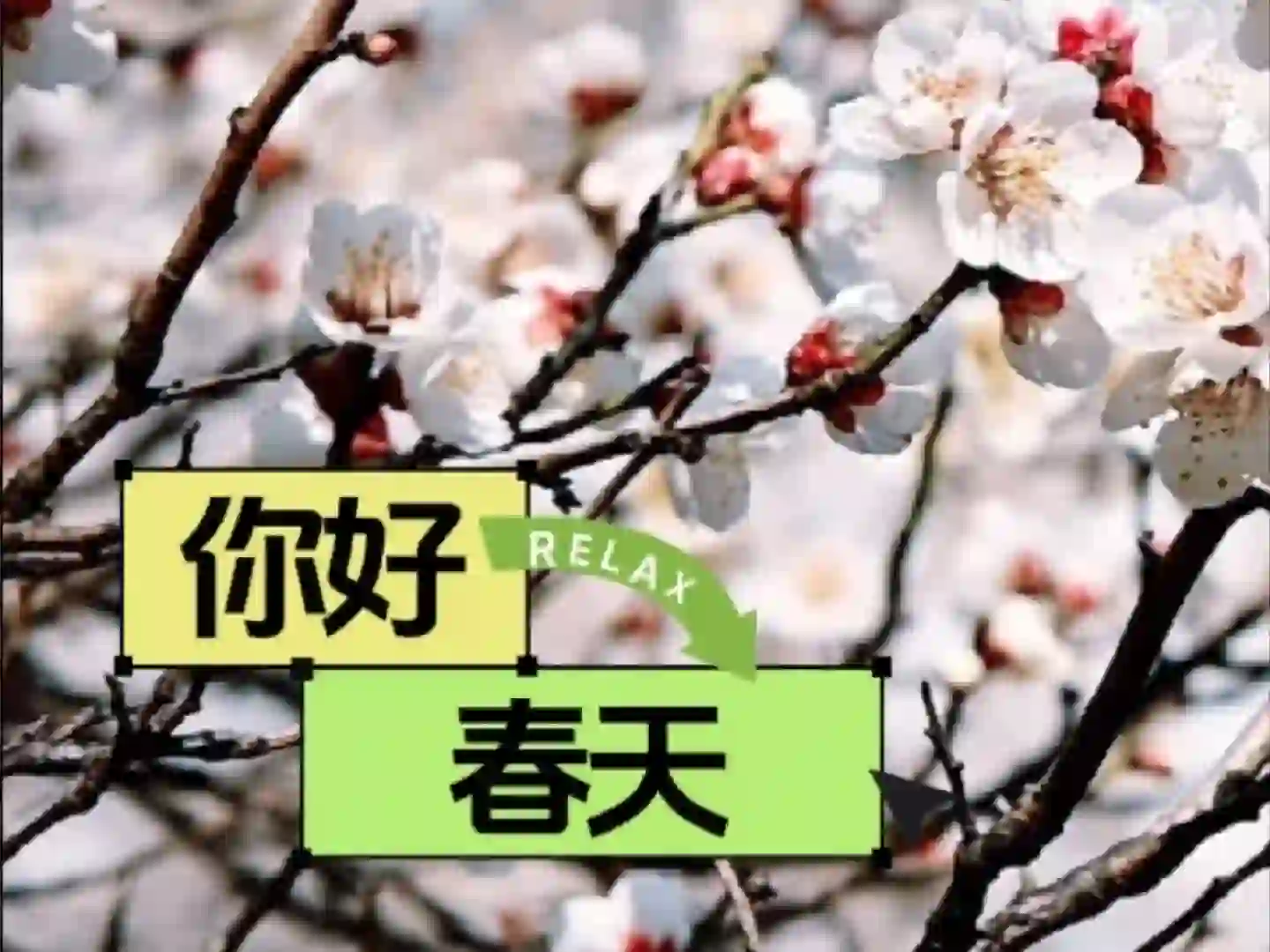 “接下来的机电是这样的”