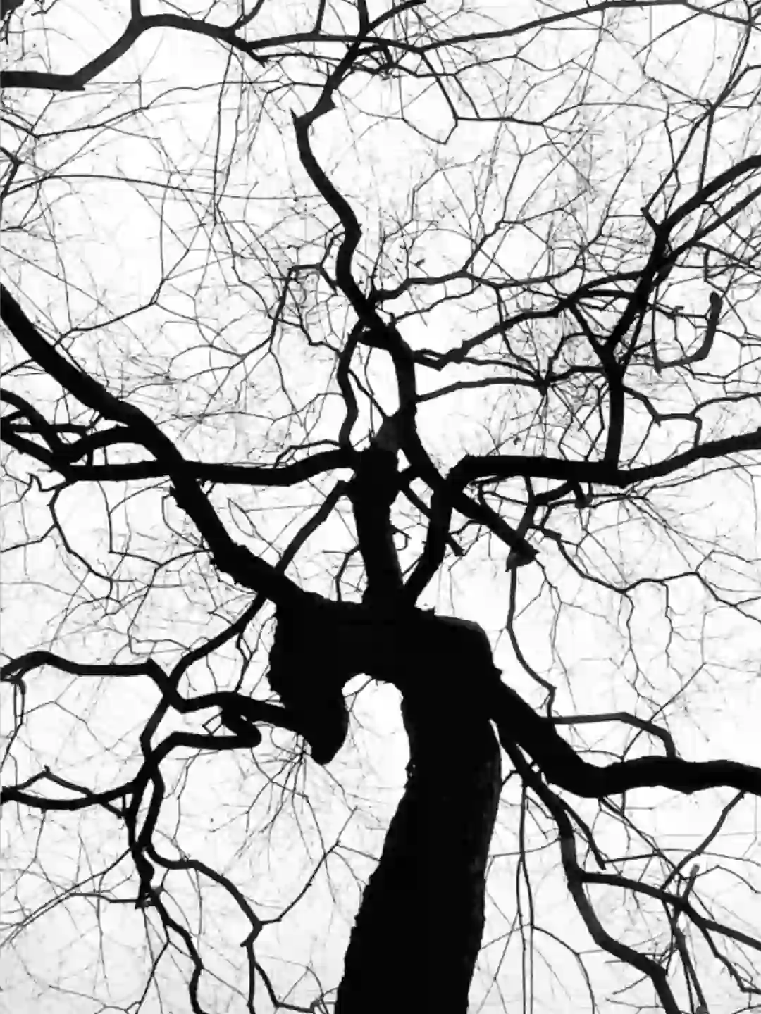 万物皆有裂痕，因为那是光照进来的地方