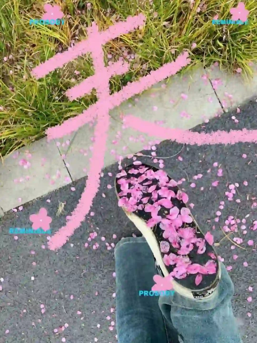 春日散步，邂逅繁花，让我们把春天打包带回家吧！#花情实况播报 #交换春天 #大学生