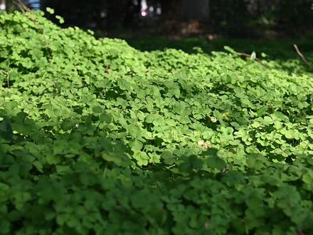 “接下来的机电是这样的”
#春天 #春已至花已开 #常机电 #赏花🌸