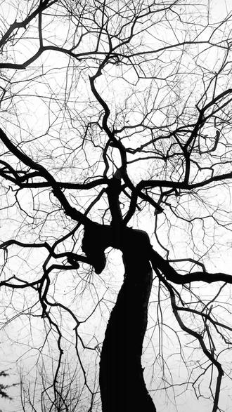 万物皆有缝隙，因为那是光照进来的地方#缝隙#常机电#大学#大学风景