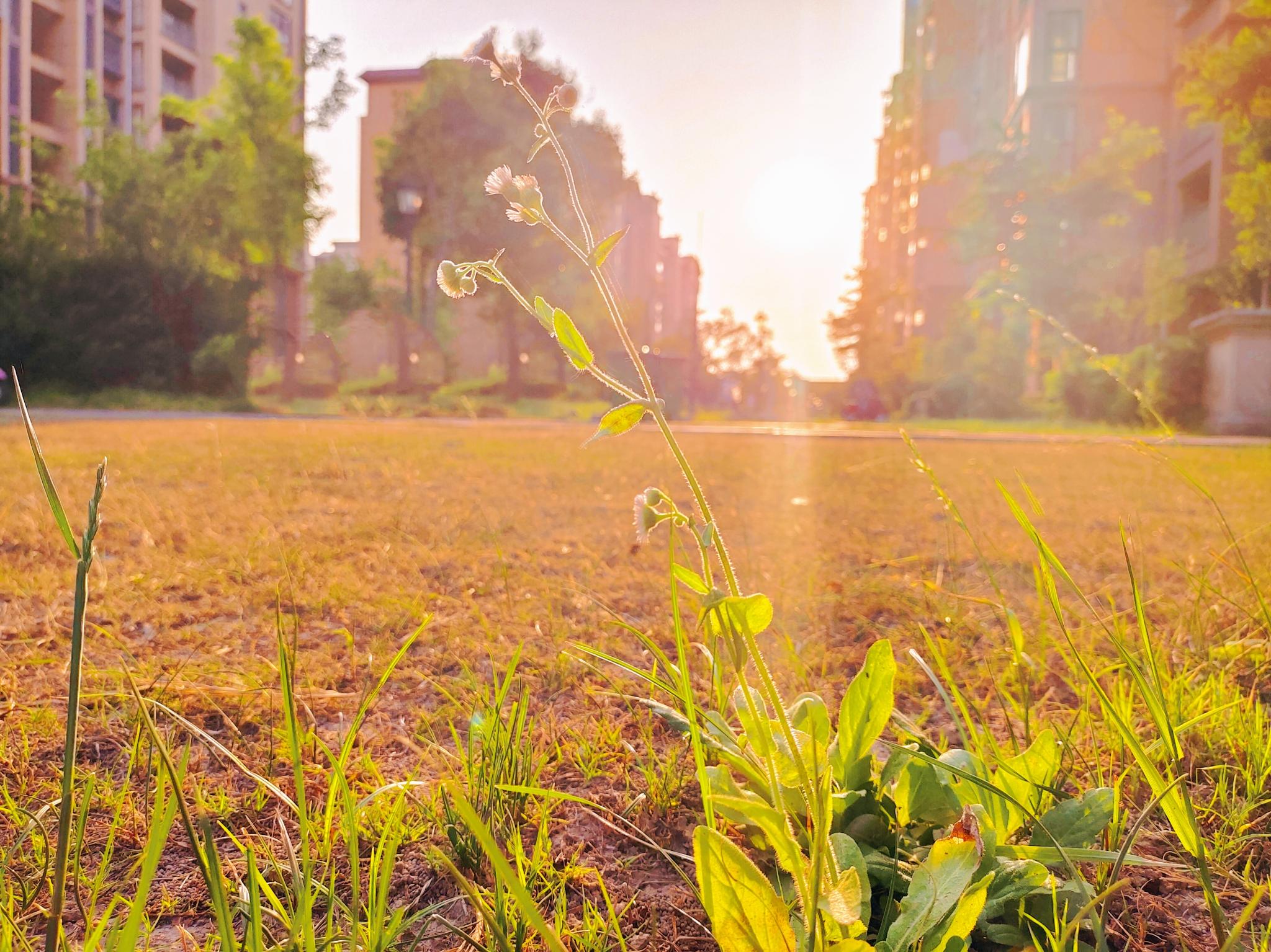 武进校区四季风景 