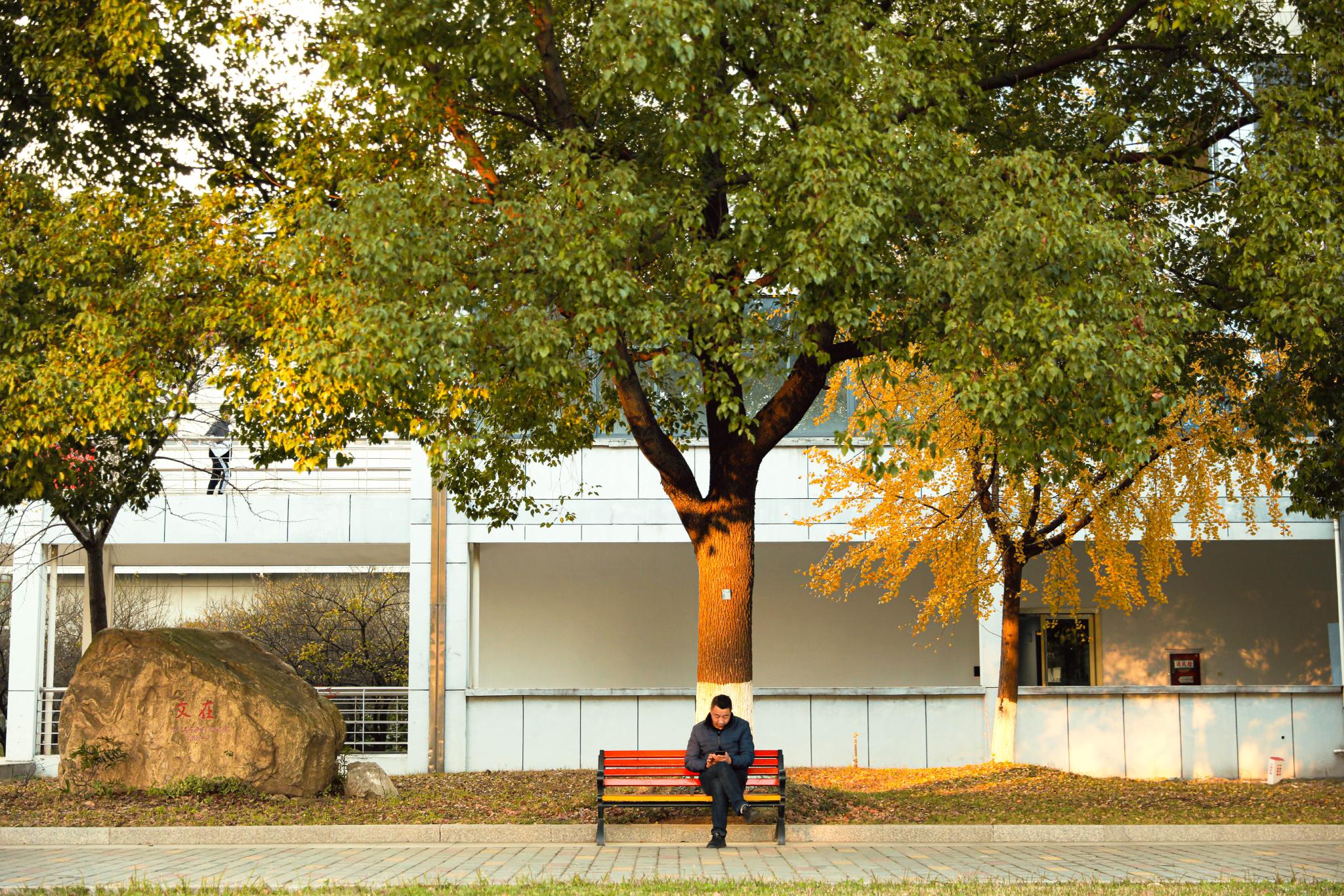 武进校区四季风景 