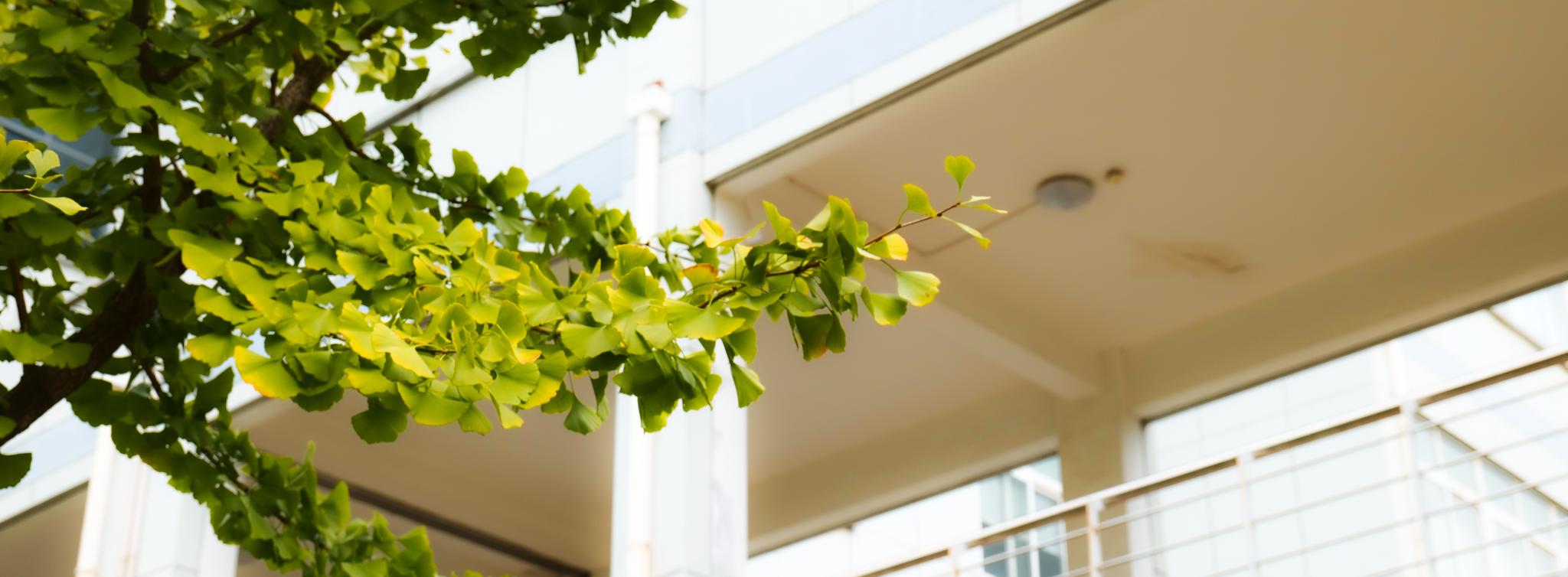 武进校区四季风景 