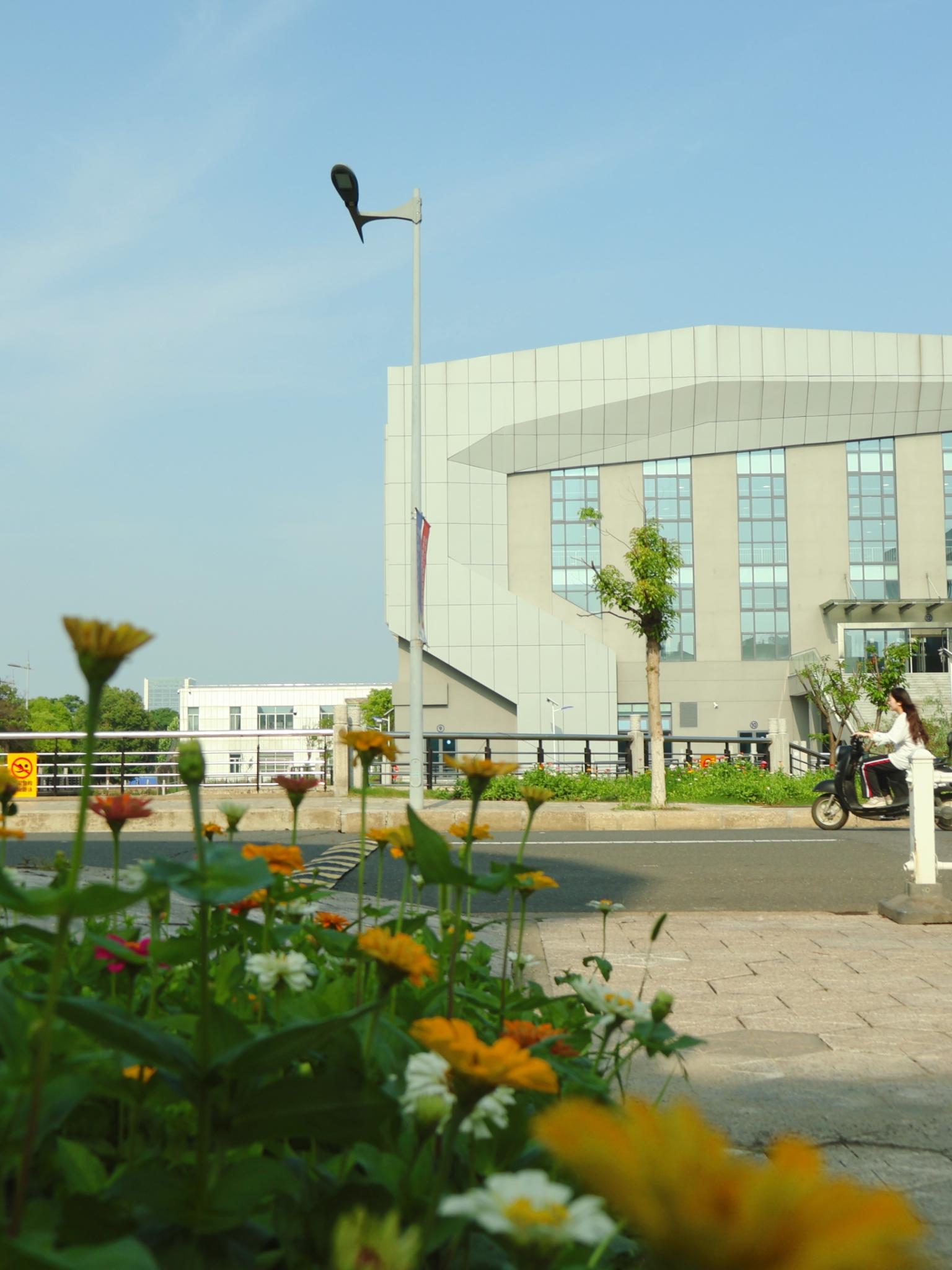 武进校区四季风景 