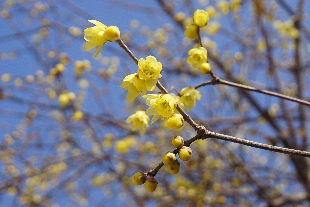 武进校区四季风景 