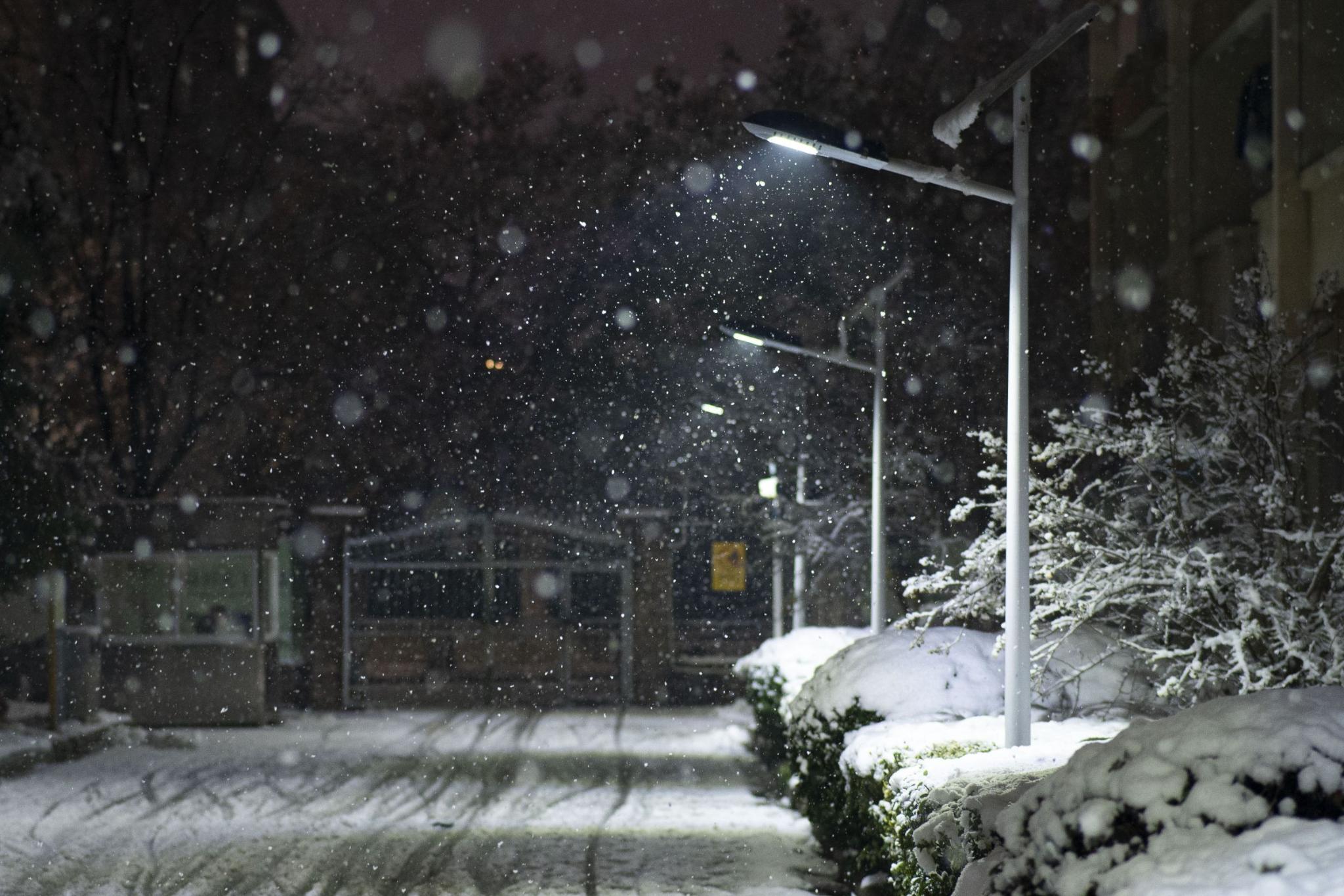 武进校区四季风景 
