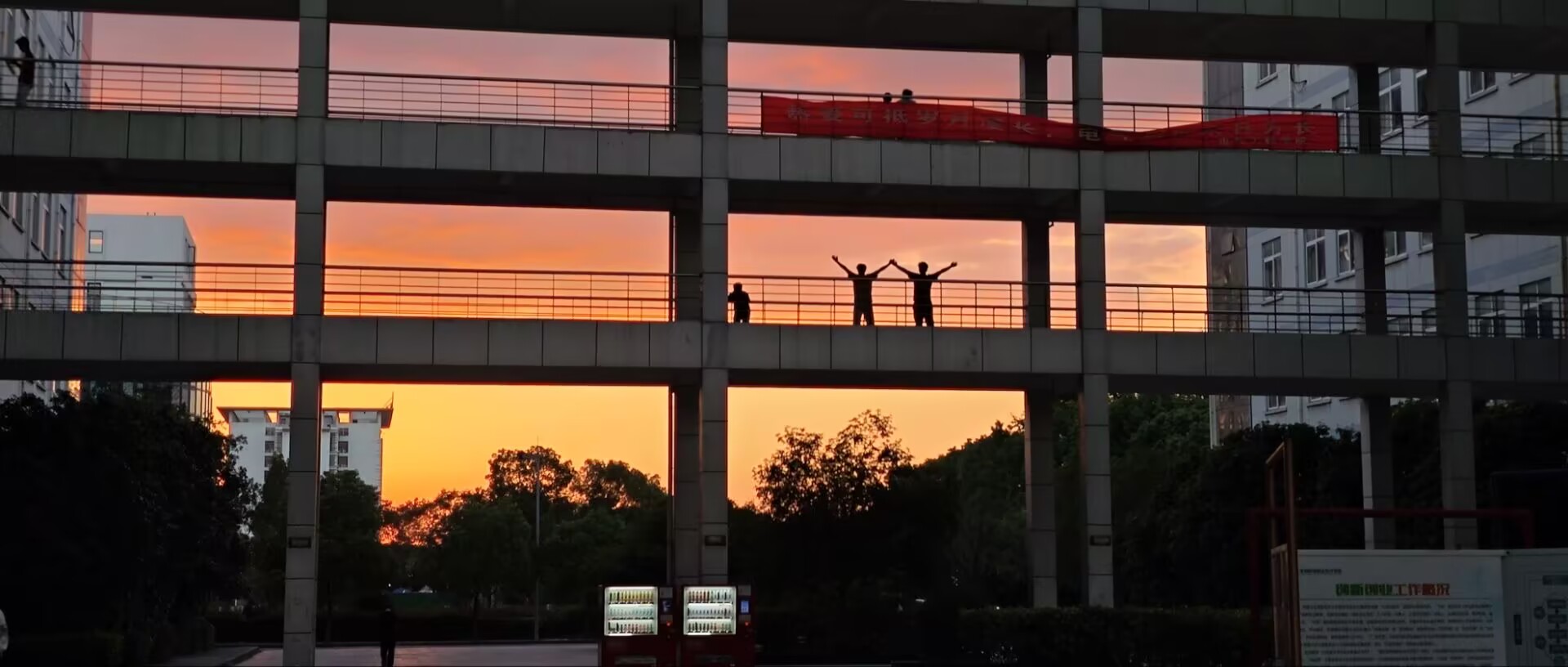 武进校区四季风景 