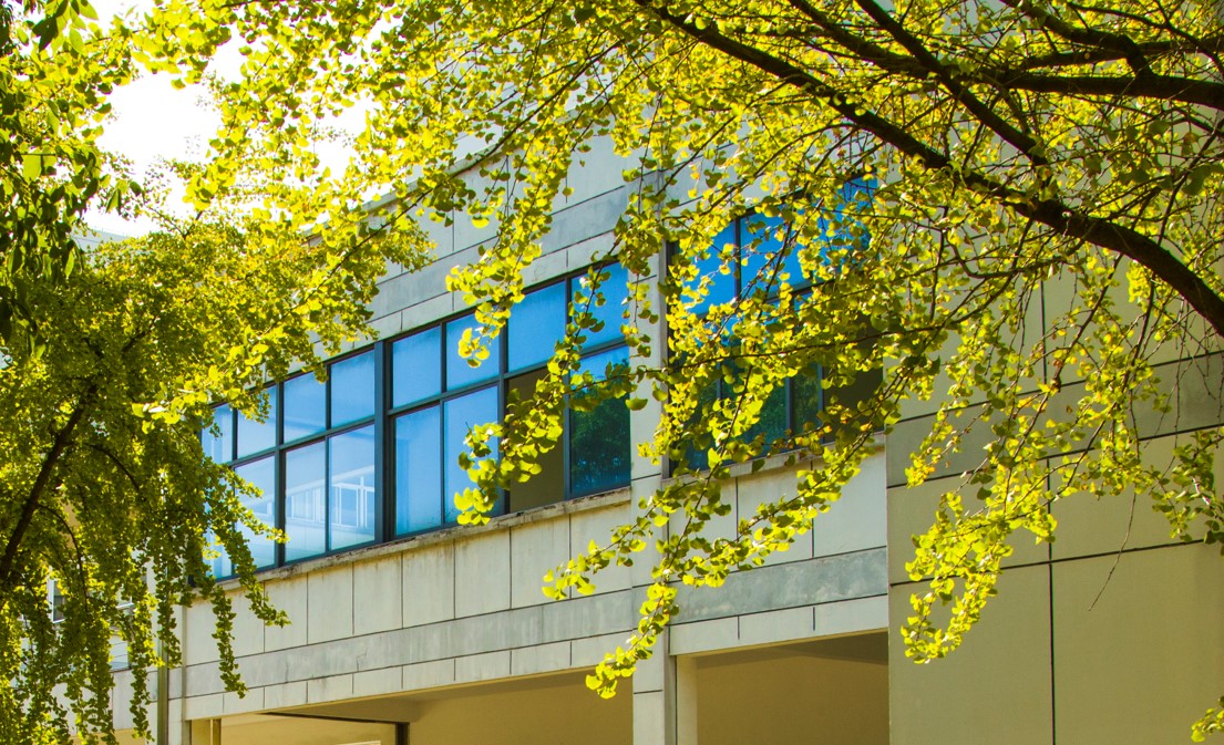 武进校区四季风景 