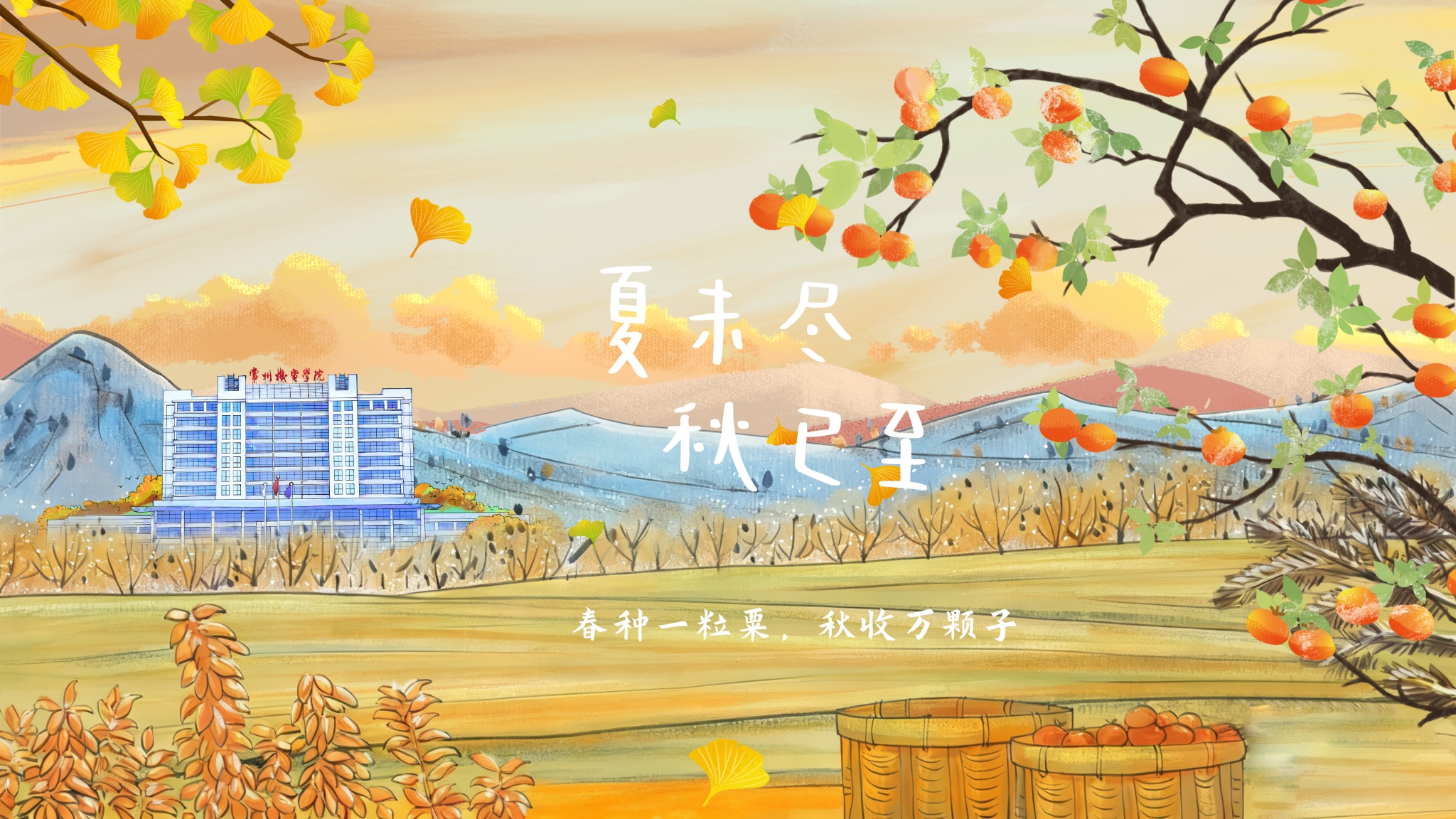 夏未尽，秋已至