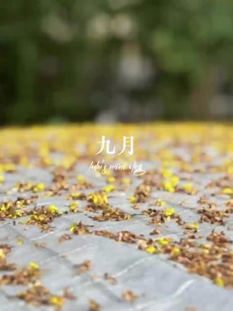 秋天的校园，将会是——