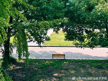 在校园的树影里，收集属于秋天的小确幸 🌿 长椅、蓝天、树，都是生活里的温柔碎片～#校园随手拍##校园秋景随手拍##常州机电职业技术学院##校园# ​​​