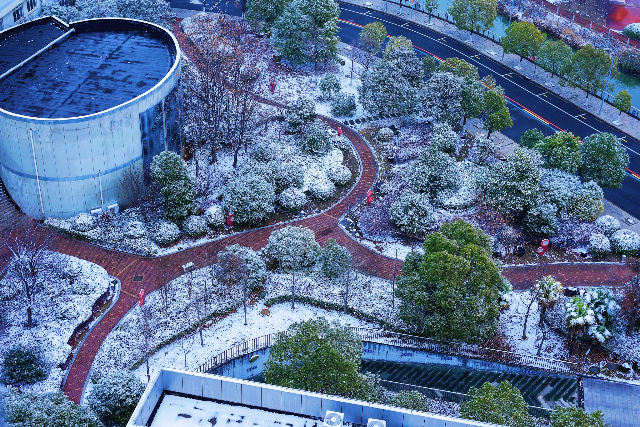 ❄️ 雪覆校园，静候春朝 ❄️