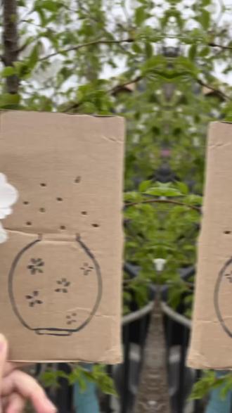 万物随风醒，杳杳春来时#常州机电职业技术学院 #春天#花#常机电