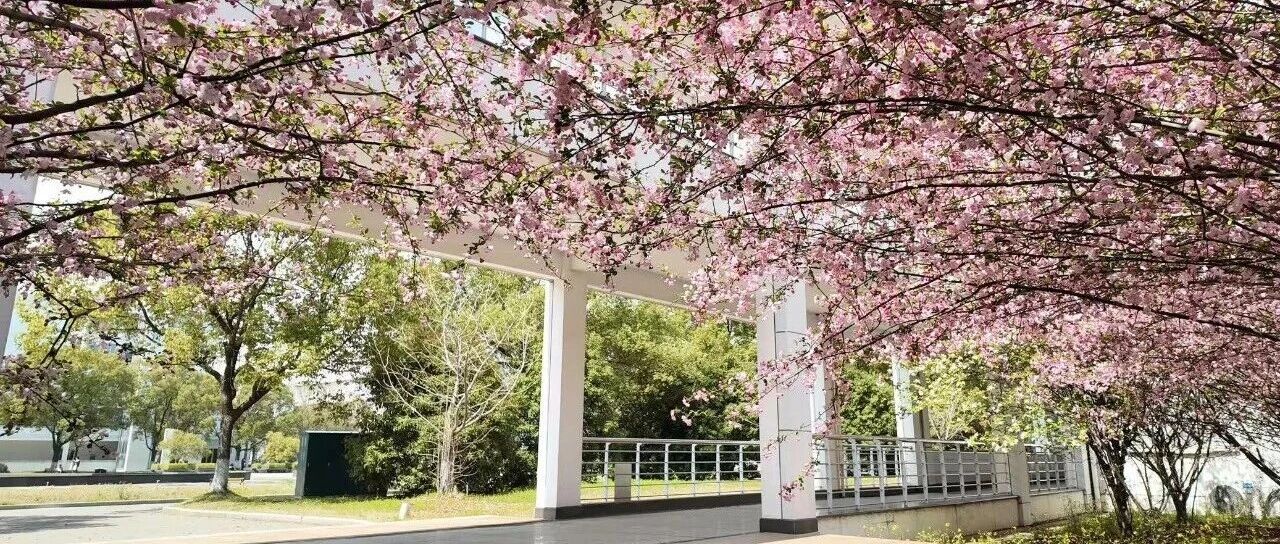 印象志·光影校园 | 海棠盛放，邀你交换春天