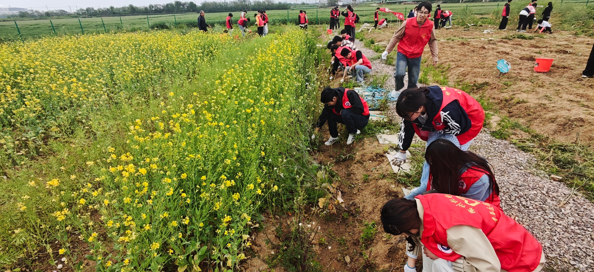 电气工程学院赴溧阳校外劳动教育实践基地开展农耕播种主题活动