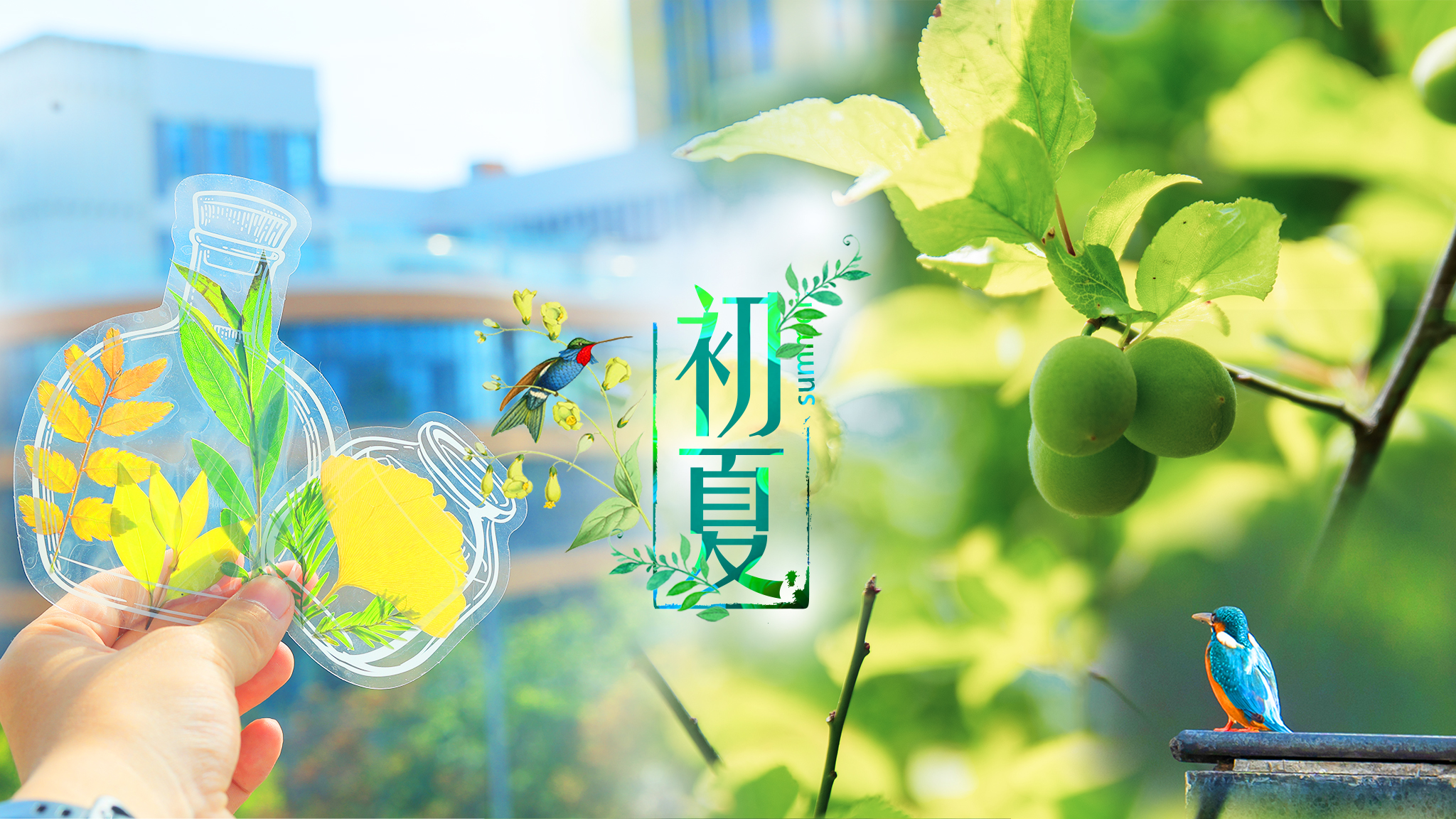 夏天