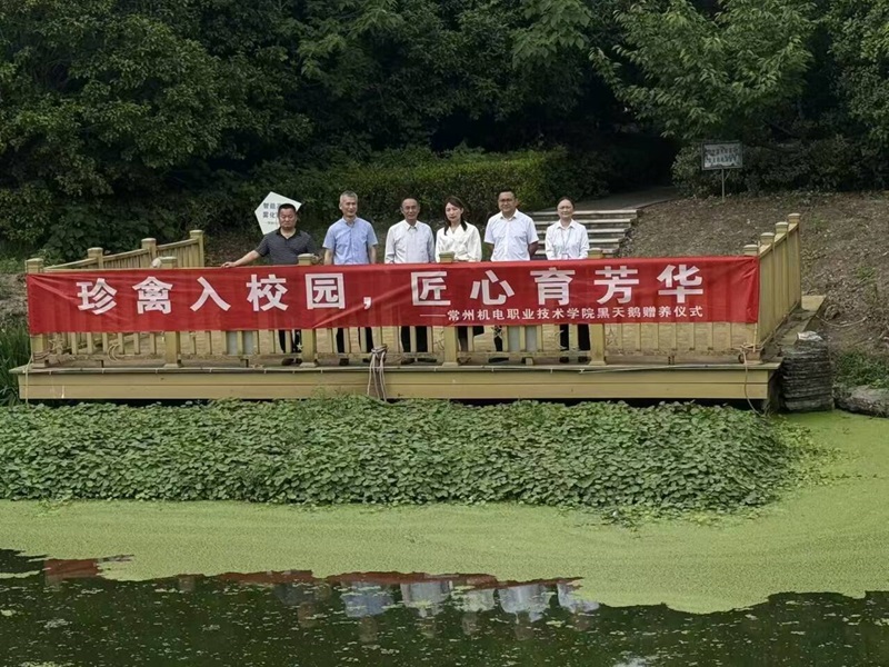 墨色华服点缀碧波 ——两只黑天鹅正式开启校园新生活