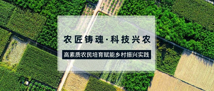 我校《农匠铸魂·科技兴农——高素质农民培育赋能乡村振兴实践》入选教育部全国乡村振兴典型案例展播